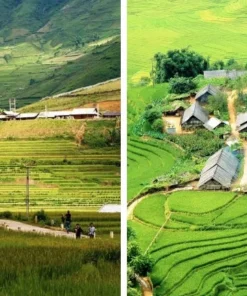 North Vietnam Tours