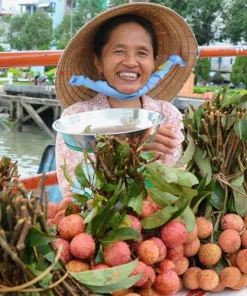 Vietnam Family Adventure Tour - 15 Days