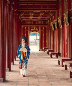 Da Nang: Hue Imperial Day Trip, Hai Van Pass Train, & Lunch