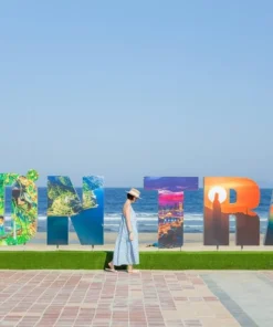 Da Nang City Sightseeing Private Tour With Female Tour Guide