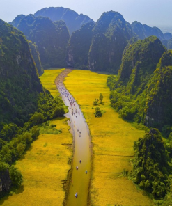 Vietnam Highlights Tour: Hanoi, Halong Bay, Danang, Hoi An - 7 Days